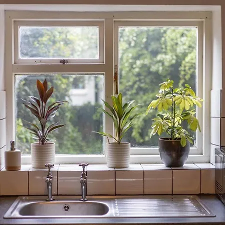 Large House, Garden, 3 Bedrooms